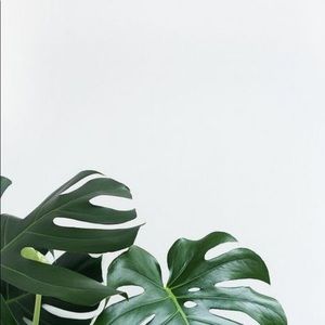 Meet your Posher, Ellyn